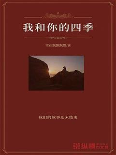 笑脸球的冒险之旅