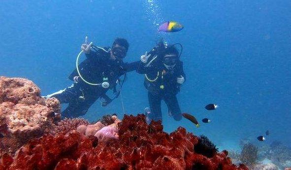 土耳其称在伊拉克北部打死5名库尔德工人党武装人员