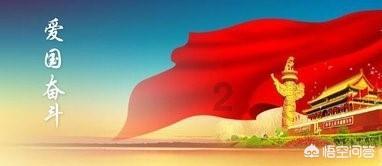 寻找萌宠松鼠